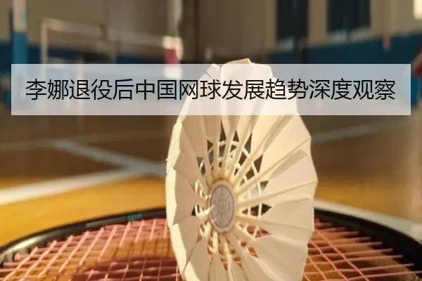 李娜退役后中国网球发展趋势深度观察